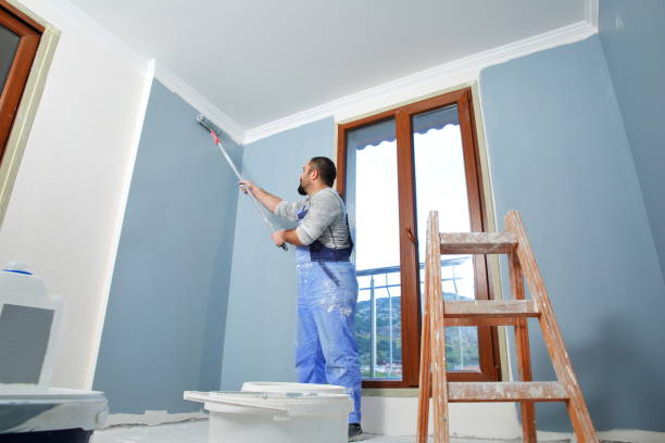 Best Residential Painting  in Yellville, AR